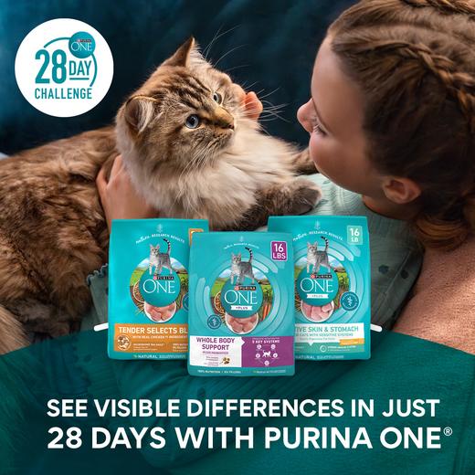 Chewy ad from the Meta Ad Library